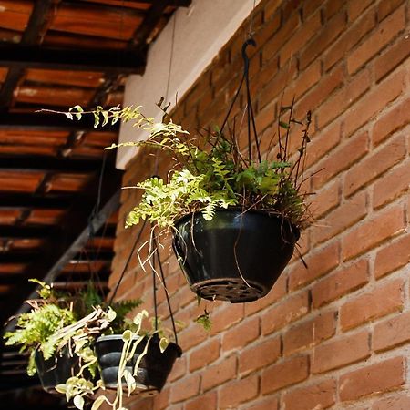 Casa Ka'A Hostel Ubatuba Kültér fotó