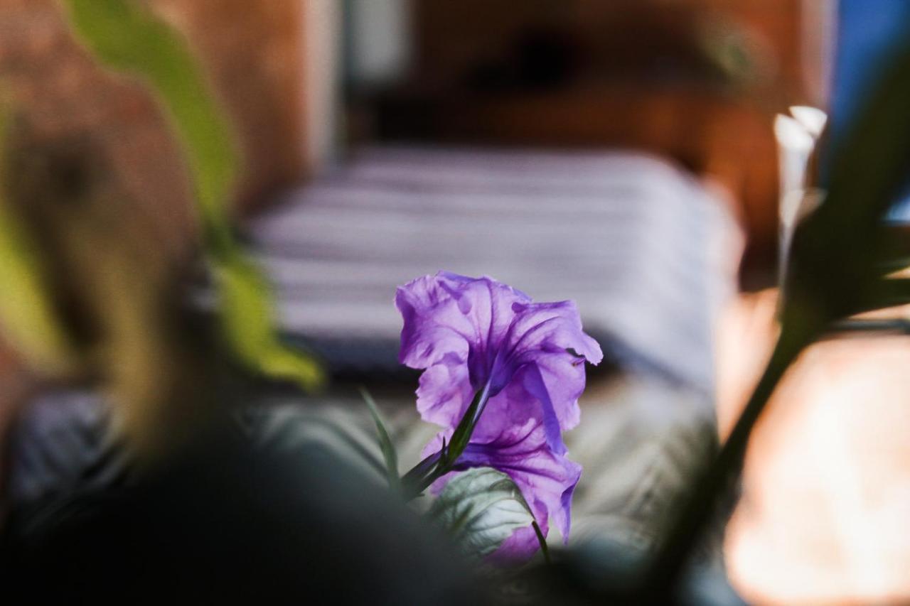 Casa Ka'A Hostel Ubatuba Kültér fotó